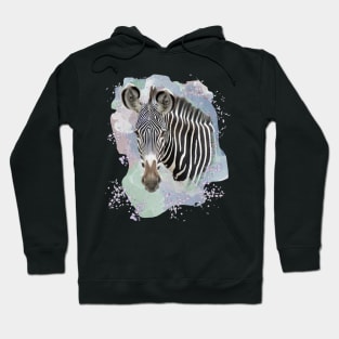 Zebra on Safari in Kenya / Africa Hoodie